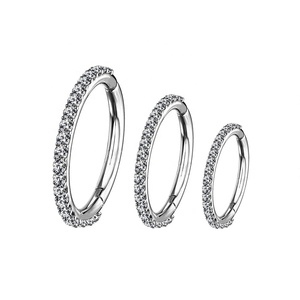 Anillo segmentado articulado 2025